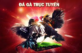 Game đá gà online cực kì hấp dẫn cùng những tuyệt chiêu hay