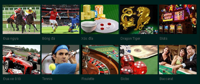 casino889